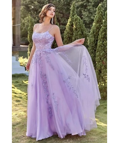 Women's Spaghetti Straps Tulle Ball Gown Long Lace Appliques Prom Dresses Hot Pink $48.22 Dresses