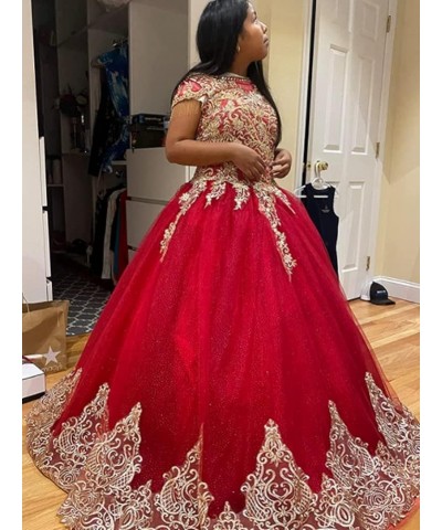 Women's Embroidery Princess Quinceanera Dresses with Wrap Lace Floral Applique Beads Ball Gown Sweet 16 Dresses Aqua $90.89 D...