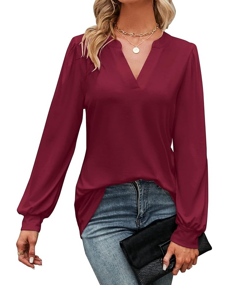 Womens Work Blouse Dressy Business Casual Tops Long Lantern Sleeve V Neck Office Fall Shirt Long Sleeve Red $11.75 Blouses