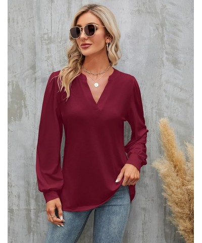 Womens Work Blouse Dressy Business Casual Tops Long Lantern Sleeve V Neck Office Fall Shirt Long Sleeve Red $11.75 Blouses