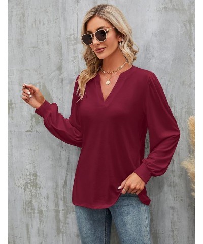 Womens Work Blouse Dressy Business Casual Tops Long Lantern Sleeve V Neck Office Fall Shirt Long Sleeve Red $11.75 Blouses