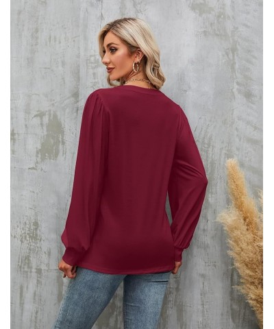 Womens Work Blouse Dressy Business Casual Tops Long Lantern Sleeve V Neck Office Fall Shirt Long Sleeve Red $11.75 Blouses