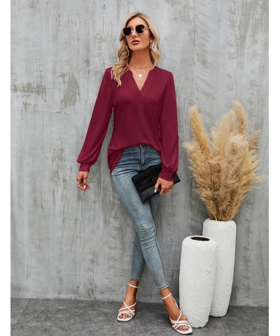 Womens Work Blouse Dressy Business Casual Tops Long Lantern Sleeve V Neck Office Fall Shirt Long Sleeve Red $11.75 Blouses