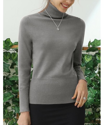 Stretch Soft Knit Sweater Turtle Neck Long Sleeve Casual Lightweight Pullover Sweater for Womens with Plus Size Awoswl0161_ch...