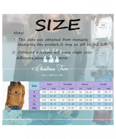 Christmas Shirt for Women Womens Hippie Sweaters Women Hoodie Oversized Sibling Christmas Outfits 2-white $9.30 Tops