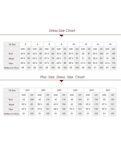 High Low Tulle Prom Dress Off Shoulder Ruffles Long Princess Evening Ball Dress for Photoshoot CA72 Silver $38.53 Dresses