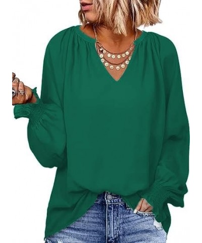 Casual Tops for Women 2023 Puff Long Sleeve Pleated V Neck Tunic Loose Fit Ladies Work Blouse Green $11.67 Blouses