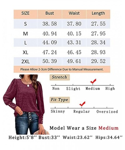 Womens Long Sleeve Tops Puff Tops Fall Long Sleeve Tops Tunic Button Down Shirts Casual Tops for Women-Green||XXL Gray Small ...