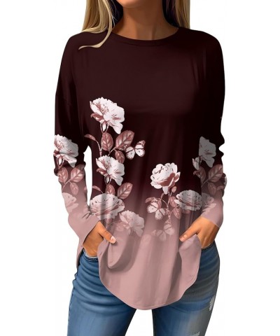 Women Print Crew Neck Tunic Shirt 2024 Spring Casual Loose Top Cozy Stretchy Breathable Basic Long Sleeve T-Shirt $01-wine $8...