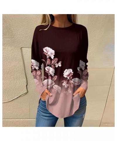 Women Print Crew Neck Tunic Shirt 2024 Spring Casual Loose Top Cozy Stretchy Breathable Basic Long Sleeve T-Shirt $01-wine $8...