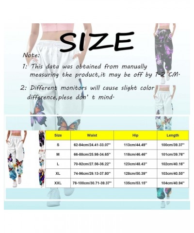 Womens Drawstring Cinch Bottom Butterfly Print Sports Color Block Casual Sporty Workout Trousers Sweatpants Comfy A_white $16...