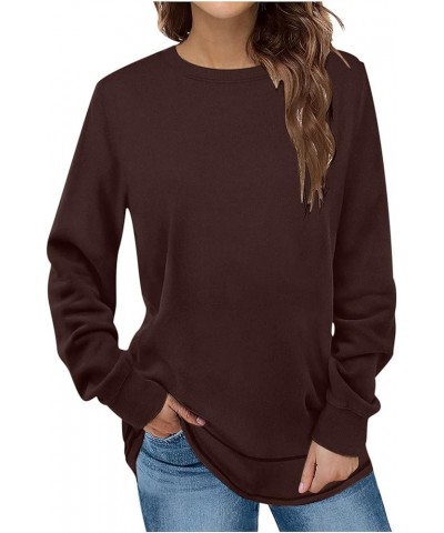 Sweatshirt for Women Fleece Crewneck Sweatshirts Casual Long Sleeve Tunic Tops for Leggings Trendy 2024 A06-wine $5.69 T-Shirts